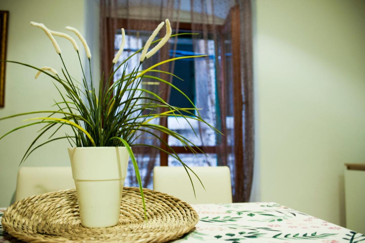 Apartman Flower Šibenik Exterior foto